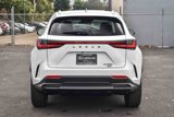 New 2026 Lexus NX 350 AWD image 5