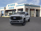 New 2025 Ford F250 Platinum image 2