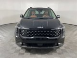New 2025 Kia Carnival SX image 2