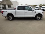 New 2025 Ford F150 XLT image 5