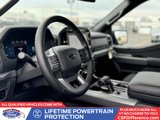 New 2025 Ford F150 XLT w/ Equipment Group 302A MID image 2