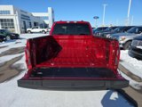 New 2025 Ford F150 XLT w/ Equipment Group 302A MID image 5