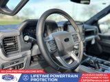 New 2025 Ford F150 XLT w/ Equipment Group 302A MID image 2