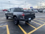 Used 2021 Toyota Tacoma Limited w/ Nightshade Package image 4