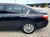 Used 2013 Honda Accord EX-L image 5