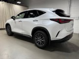 Used 2024 Lexus NX 350 AWD w/ Cold Area Package image 5
