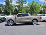 New 2025 Ford F150 Lariat w/ Equipment Group 502A High image 5