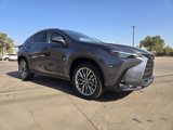 New 2025 Lexus NX 300h AWD w/ Luxury Package image 2
