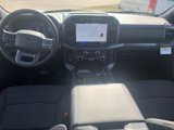 New 2025 Ford F150 XLT w/ Equipment Group 302A MID image 3