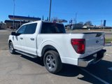 New 2025 Ford F150 XLT w/ Equipment Group 301A Standard image 5