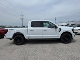 New 2025 Ford F150 XLT image 2