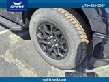 New 2025 Ford F150 XLT w/ Equipment Group 302A MID image 4