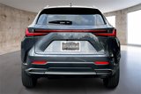 New 2026 Lexus NX 350 AWD w/ Luxury Package image 4