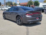 Certified 2020 Dodge Charger SXT w/ Blacktop Package image 6