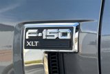 New 2025 Ford F150 XLT w/ Equipment Group 302A MID image 6