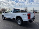 New 2025 Ford F250 XL image 5