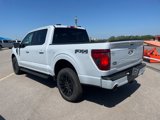 New 2025 Ford F150 XLT image 4