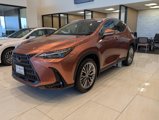 New 2026 Lexus NX 350 AWD w/ Premium Package image 5