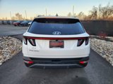 Certified 2024 Hyundai Tucson Limited image 4