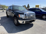 Used 2009 Ford F150 4x4 SuperCrew image 3