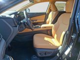 New 2026 Lexus NX 350 AWD w/ Premium Package image 6