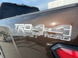 New 2025 Toyota Tundra 1794 Edition image 4