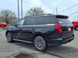 New 2025 Ford Expedition Active image 4