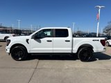 New 2025 Ford F150 STX image 3