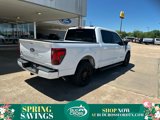 New 2025 Ford F150 XLT image 2
