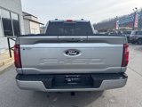 New 2024 Ford F150 XLT w/ Equipment Group 302A MID image 4