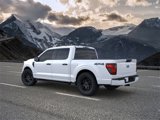 New 2025 Ford F150 STX w/ STX Black Appearance Package image 4