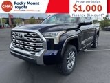 New 2025 Toyota Tundra 1794 Edition image 3