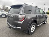 Used 2022 Toyota 4Runner SR5 Premium image 6