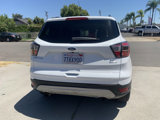 Used 2017 Ford Escape SE w/ SE Leather Comfort Package image 5