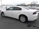 Used 2019 Dodge Charger Police w/ Convenience Group I image 2