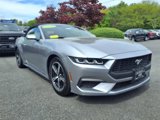 Used 2024 Ford Mustang Premium image 3