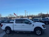 Used 2024 Ford F150 XLT w/ Equipment Group 302A MID image 2