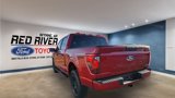 New 2025 Ford F150 STX w/ STX Black Appearance Package image 3
