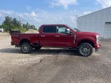 New 2025 Ford F250 4x4 Crew Cab Super Duty image 4