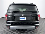 New 2026 Honda Passport RTL image 5