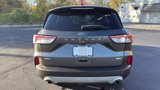 Used 2020 Ford Escape SEL image 6