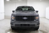 New 2025 Ford F150 STX image 3