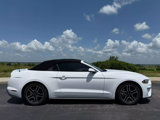 Used 2021 Ford Mustang Premium image 2