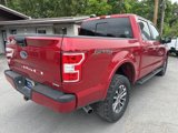 Certified 2020 Ford F150 XLT w/ Equipment Group 302A Luxury image 5