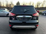 Used 2014 Ford Escape Titanium image 6