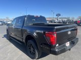 New 2025 Ford F150 STX image 5