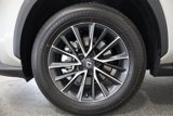Used 2024 Lexus NX 350 AWD image 5