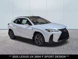 New 2025 Lexus UX 300h AWD w/ Cold Area Package image 4