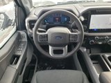 New 2025 Ford F150 XLT w/ Equipment Group 302A MID image 3