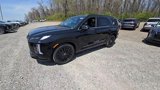 New 2025 Hyundai Palisade Calligraphy image 2